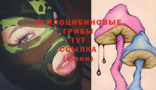 a pvp Абдулино