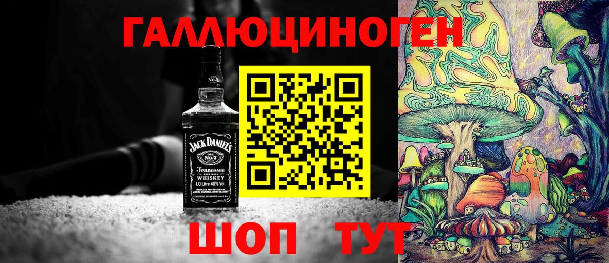 Галлюциногенные грибы Psilocybe  Галлюциногенные грибы прущие грибы  Алейск  Вход с VPN 