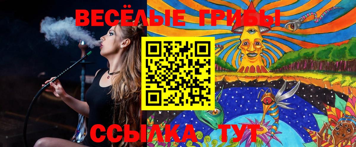Псилоцибиновые грибы MAGIC MUSHROOMS Алейск